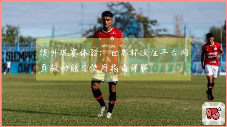 提升观赛体验：世界杯投注平台网页版功能与使用指南详解