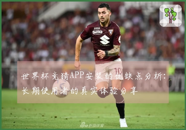 世界杯竞猜APP安装的优缺点分析：长期使用者的真实体验分享
