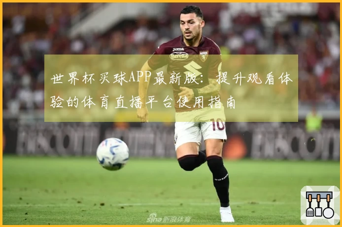 世界杯买球APP最新版:提升观看体验的体育直播平台使用指南