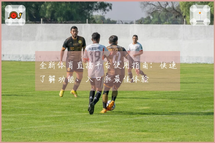 全新体育直播平台使用指南:快速了解功能、入口和最佳体验