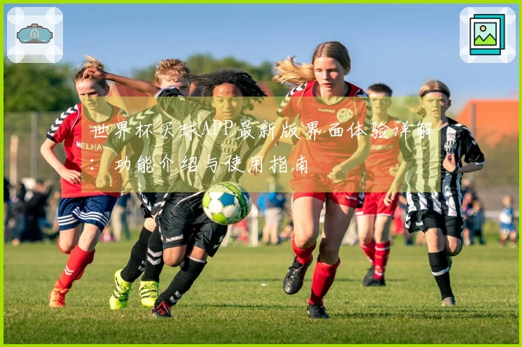 世界杯买球APP最新版界面体验详解：功能介绍与使用指南