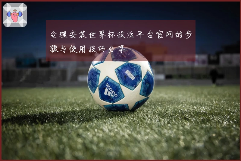 合理安装世界杯投注平台官网的步骤与使用技巧分享