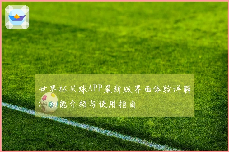 世界杯买球APP最新版界面体验详解：功能介绍与使用指南