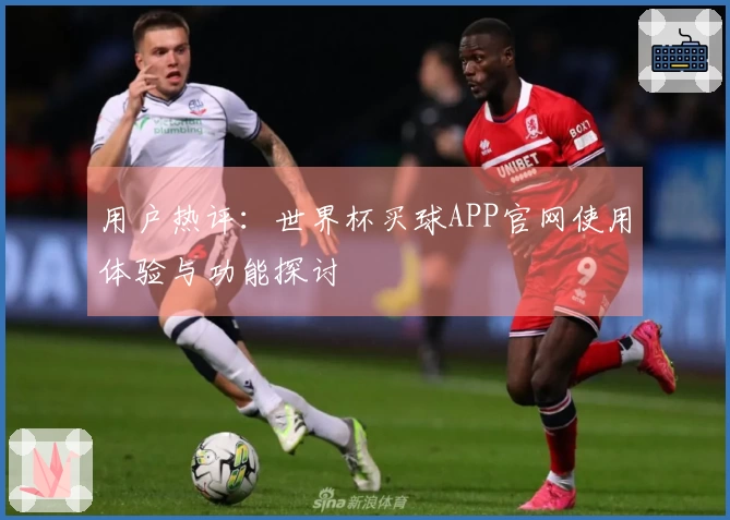 用户热评：世界杯买球APP官网使用体验与功能探讨