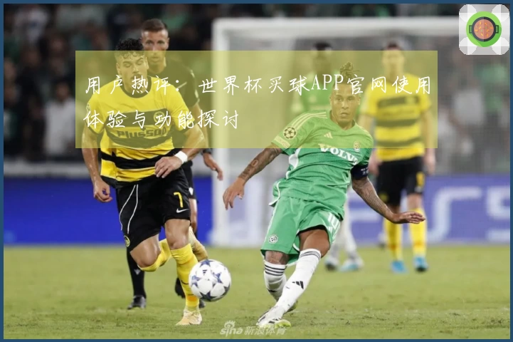 用户热评：世界杯买球APP官网使用体验与功能探讨