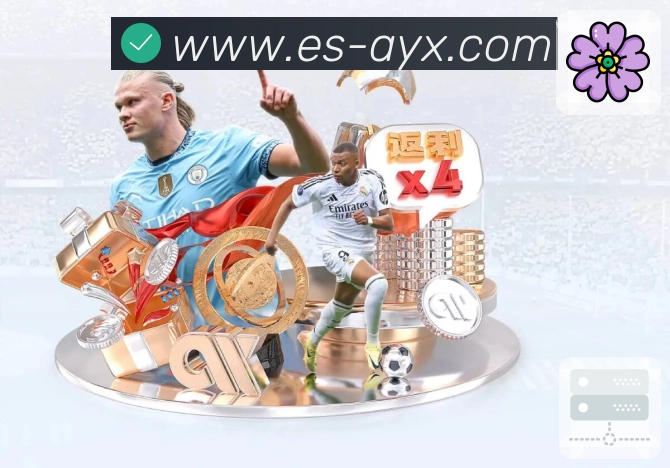 稳定与安全协同流程